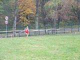 DSCF4452